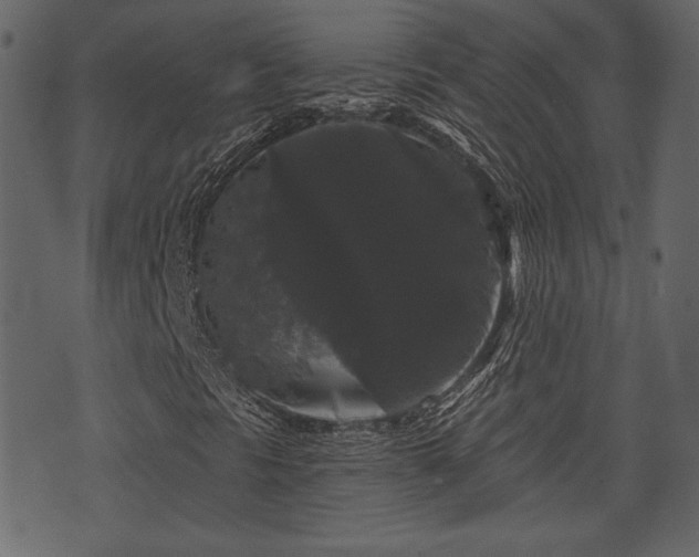 X0000070861297200606231243