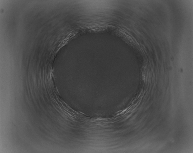 X0000070861298200606231243