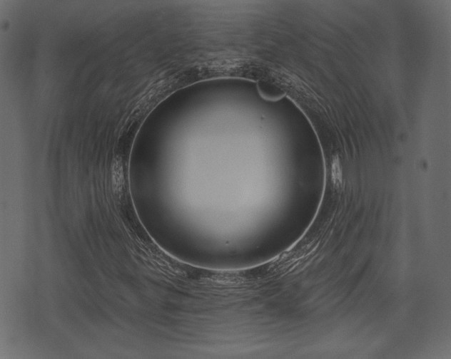 X0000070861299200606231243