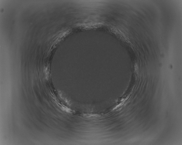 X0000070861300200606231243