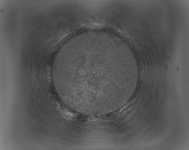 X0000070861301200606231243