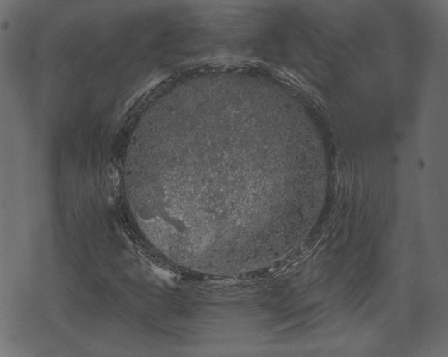 X0000070861302200606231243