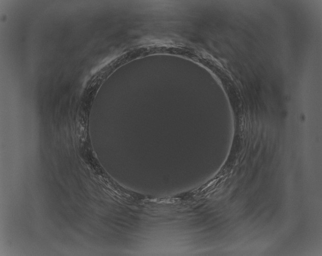 X0000070861303200606231243