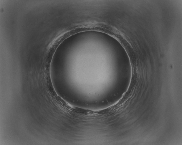 X0000070861304200606231243