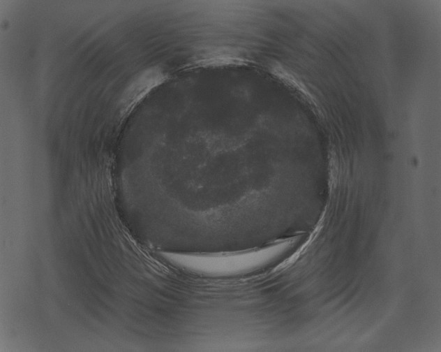 X0000070861305200606231243