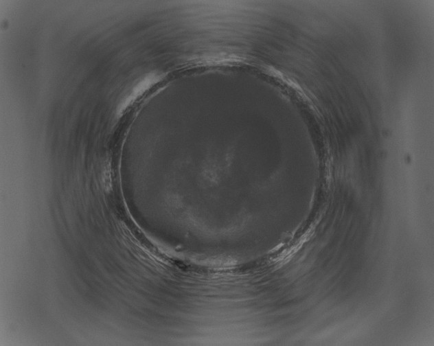 X0000070861306200606231243