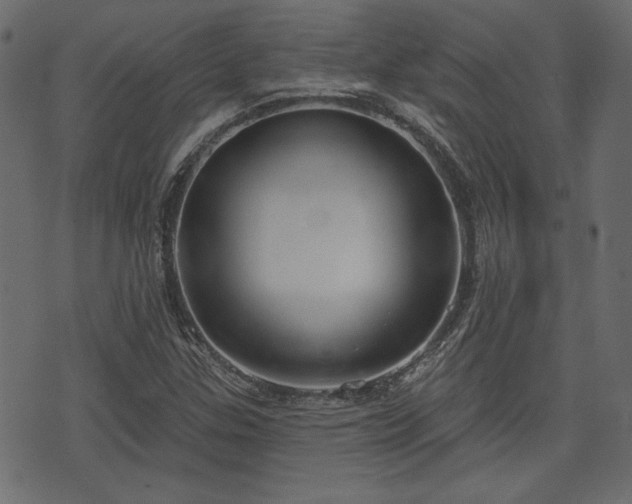 X0000070861307200606231243