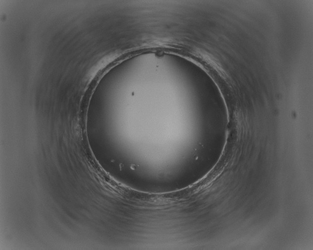 X0000070861308200606231243