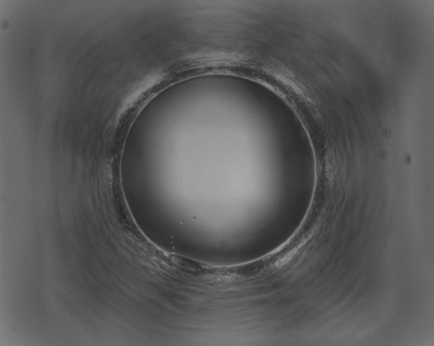 X0000070861309200606231243