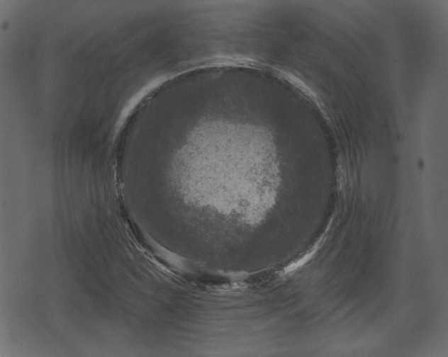 X0000070861310200606231243