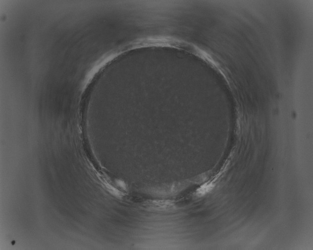 X0000070861312200606231243