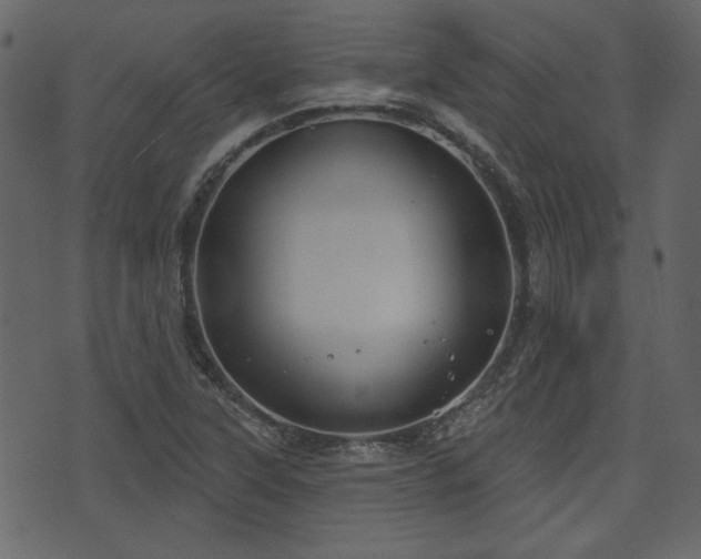 X0000070861315200606231243