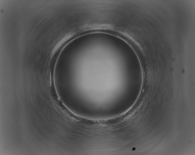 X0000070861317200606231243