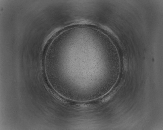 X0000070861318200606231243