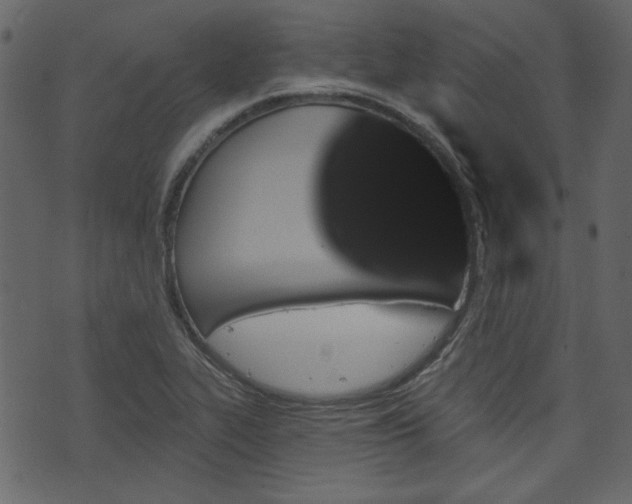 X0000070861319200606231243