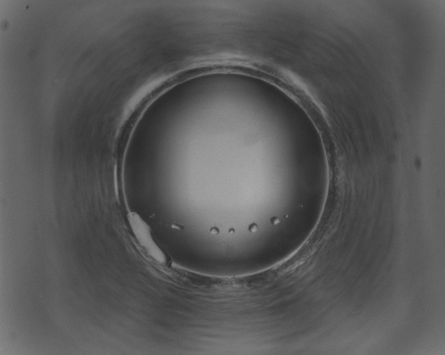 X0000070861320200606231243