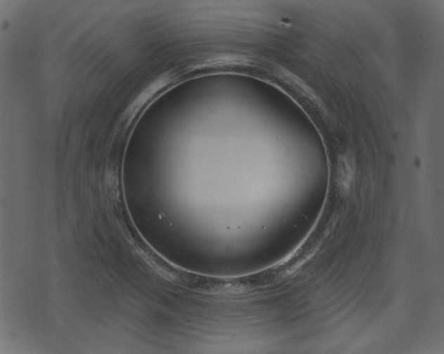 X0000070861321200606231243