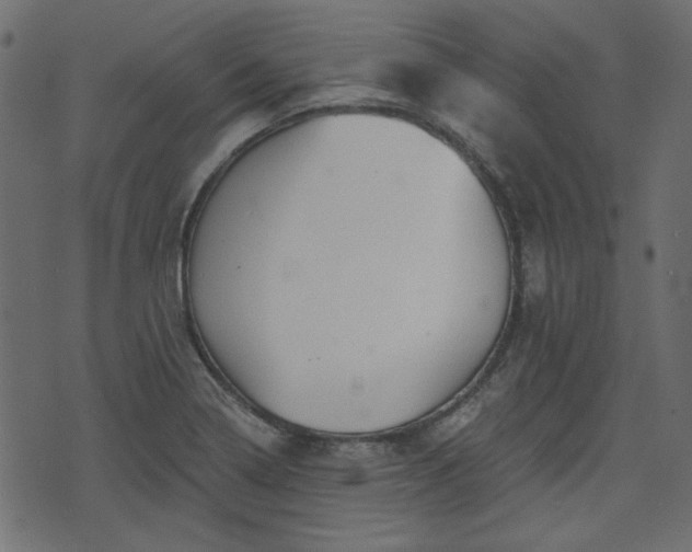 X0000070861322200606231243