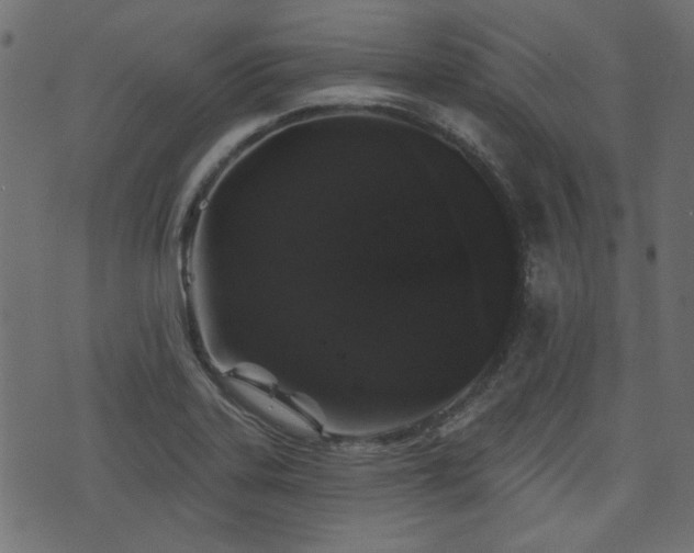 X0000070861323200606231243