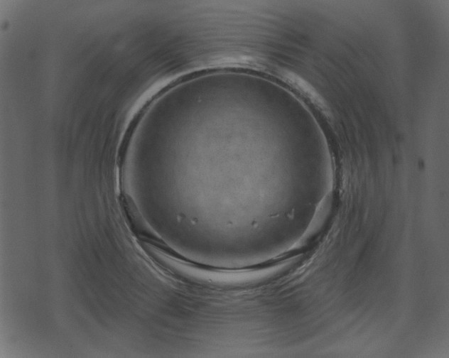 X0000070861324200606231243