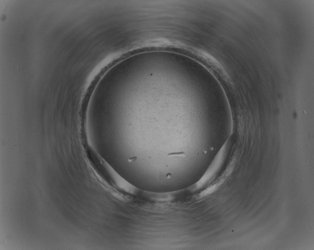 X0000070861326200606231243