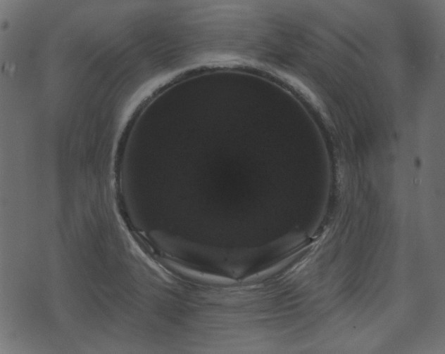 X0000070861327200606231243