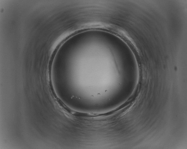 X0000070861328200606231243