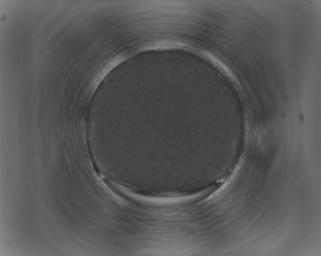 X0000070861329200606231243