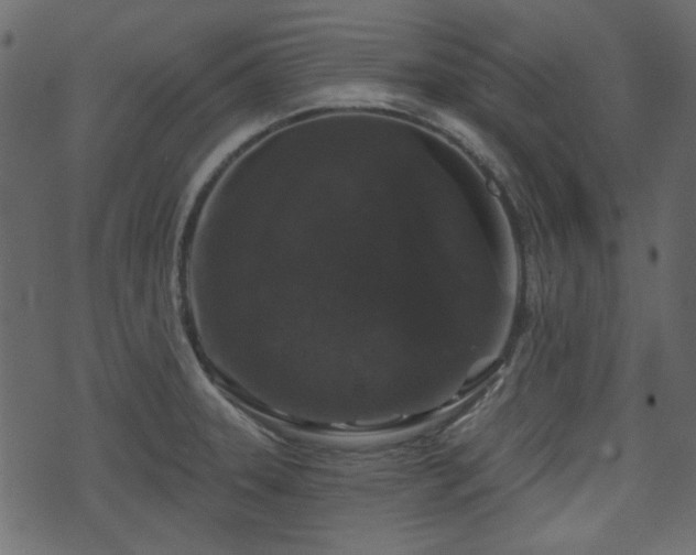 X0000070861331200606231243