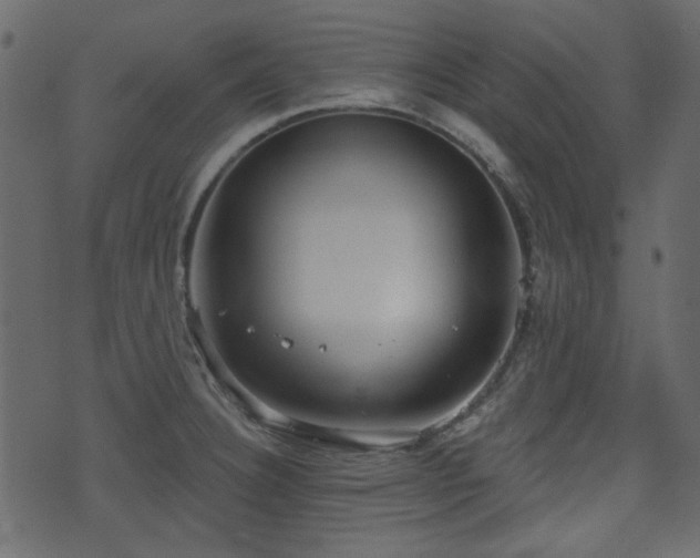 X0000070861332200606231243