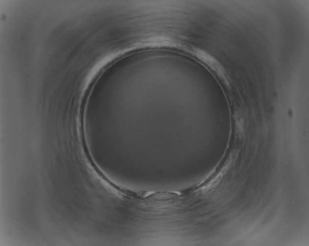 X0000070861334200606231243