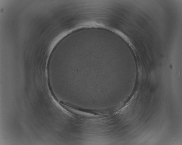 X0000070861335200606231243