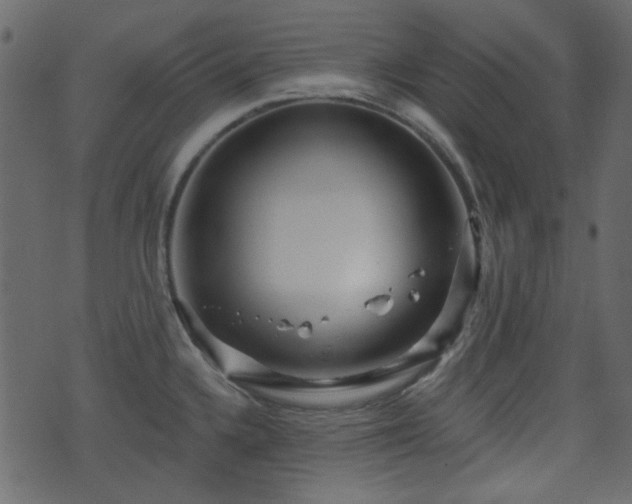 X0000070861336200606231243