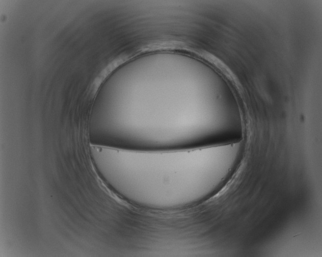 X0000070861337200606231243