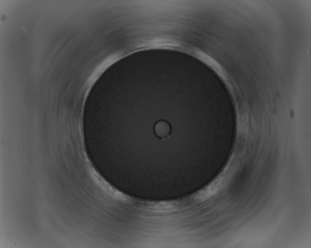 X0000070861338200606231243