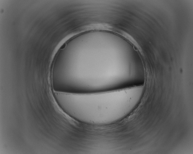 X0000070861339200606231243