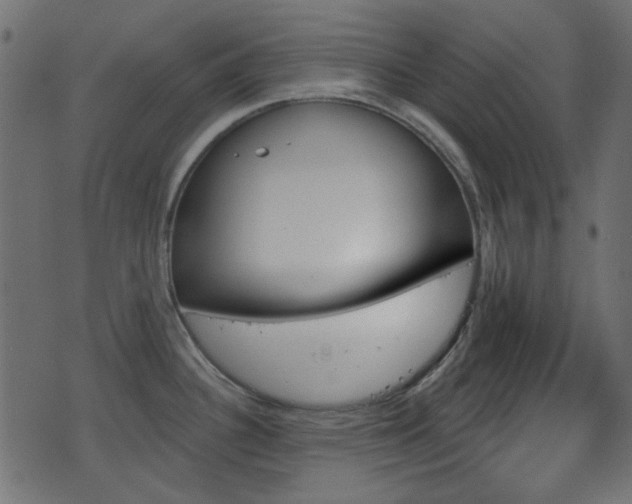 X0000070861340200606231243