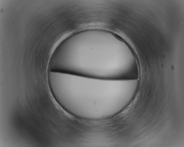 X0000070861341200606231243