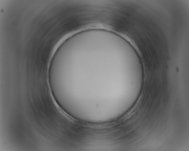 X0000070861342200606231243