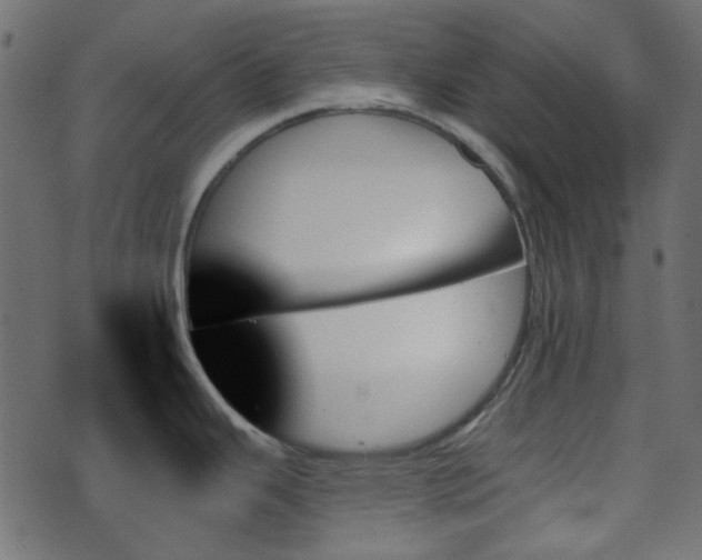 X0000070861343200606231243