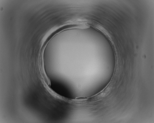 X0000070861344200606231243