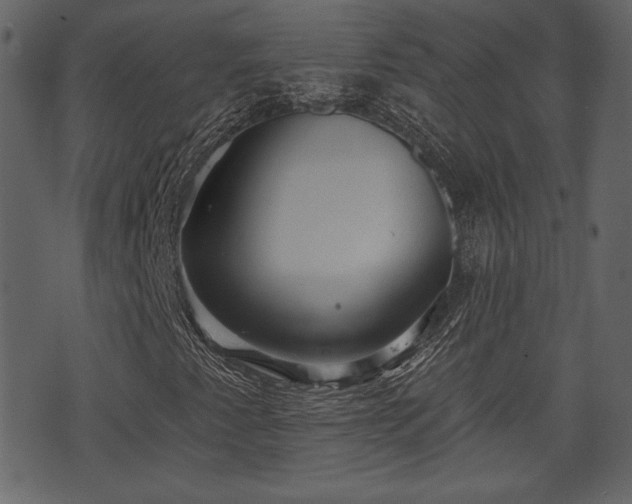 X0000070861345200606231243