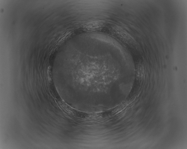 X0000070861346200606231243