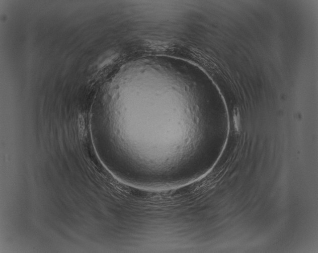 X0000070861347200606231242