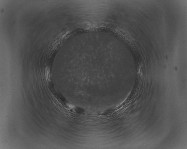 X0000070861348200606231242