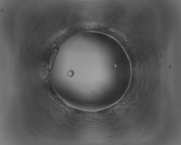 X0000070861349200606231242