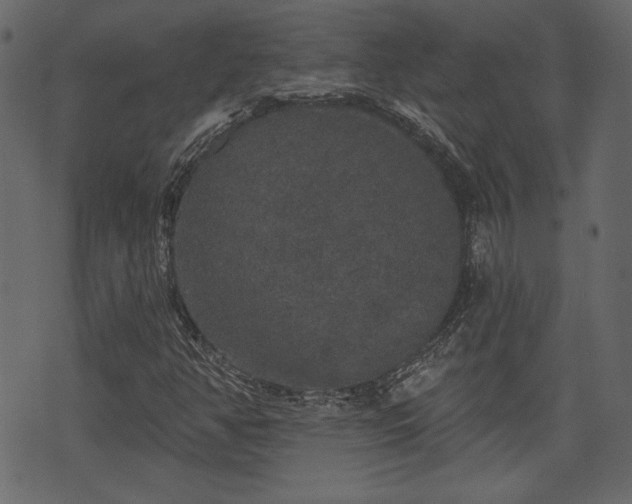 X0000070861350200606231242