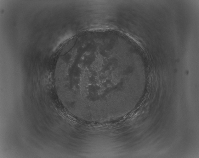 X0000070861351200606231242