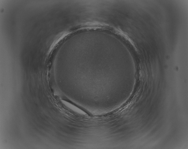 X0000070861352200606231242