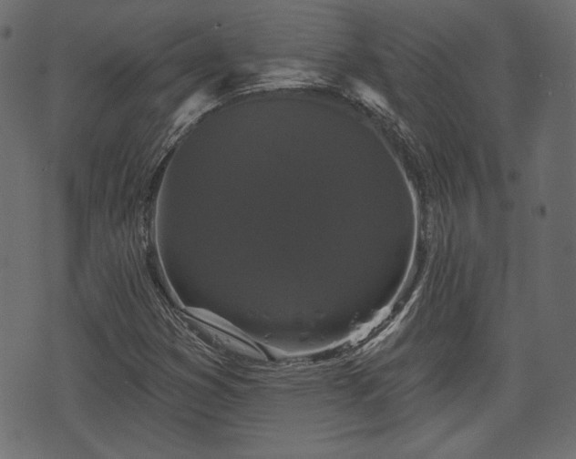 X0000070861353200606231242